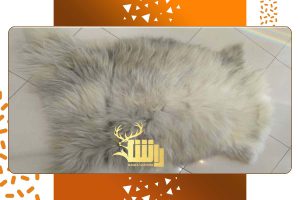 پوست چرم گوسفندی